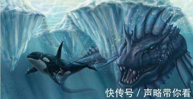 灭族|《斗罗大陆》里极为“悲惨”的五只魂兽，邪魔虎鲸鲨惨遭唐三灭族