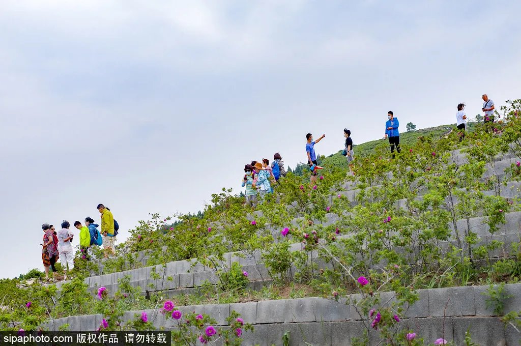 中国历史|安排！一天假期也精彩，不容错过的京郊赏秋胜地