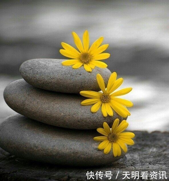 佛家|佛家一句话,胜读十年书!多读开悟才是正道