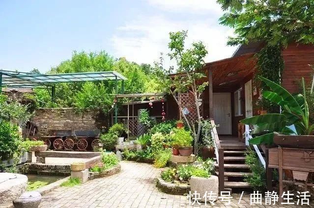 等我老了以后,找个小院陪你养花种菜!