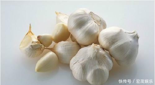 厨房里的1种东西，用来养花，花卉都长疯了，再也不担心长不好