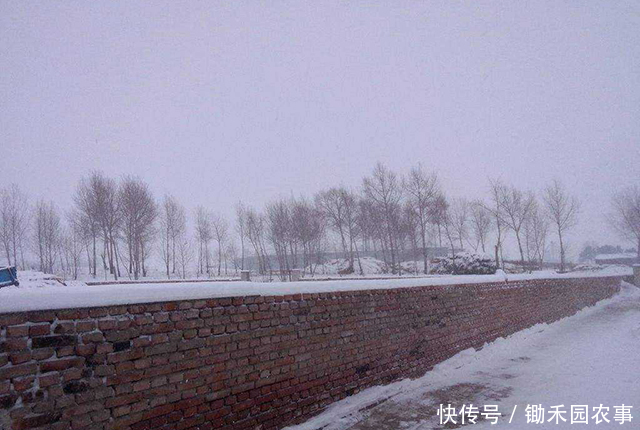 中最冷|“数九”将开启,今年最冷的几天是哪几天?三九冷还是四九冷?