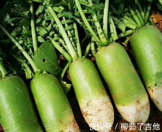 生冷食物|萝卜是结节的“加速剂”吗医生若不想结节癌变,尽量少吃5物