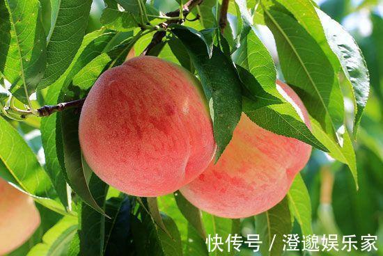 孩子|3岁男童樱桃卡喉,父母两个“果断”令医生称赞,家长们也要学会