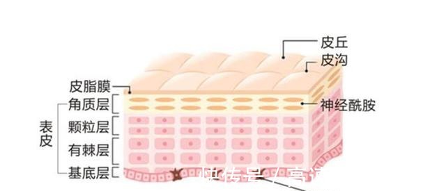 精准 美莱光子嫩肤和激光种类这么多,到底怎么选