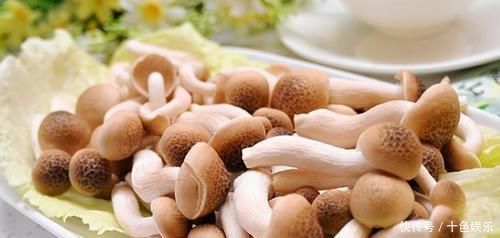 会吃的人最长寿,3种食物离不开,滋补身体,增强体质!