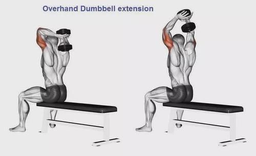 弯杆|最全的肱二三头肌训练图解,漂亮手臂必备!