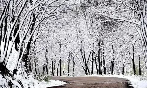  大雪节气|今日大雪，穿暖和，别冻着