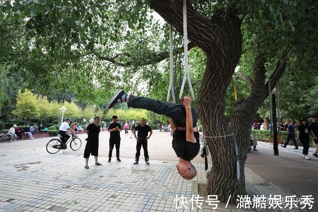 低头族|沈阳1棵大树上“吊满”许多大爷，知情人说这有名堂，看是啥