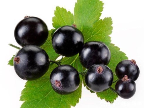 皱纹|女人手脚冰凉，每天吃一些，可以温补气血，防止皱纹、晒不黑