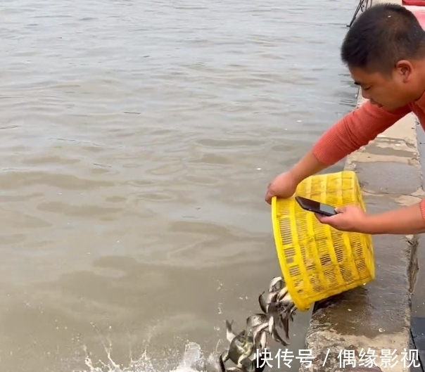 上海一河道鲫鱼大爆发，一天轻松钓上十几斤，有人拄着拐杖去钓鱼