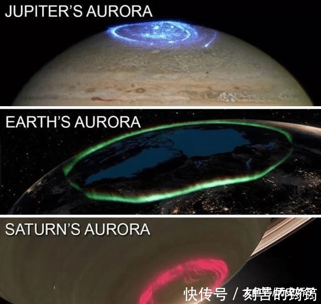 电子显微镜 22张“活久见”的照片,令人大开眼界!