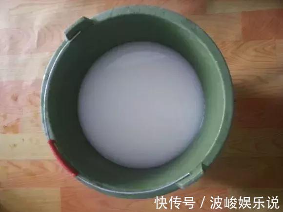 新芽|虎尾兰盆里加点2种“液体”,新芽不断,叶子挺拔,开花特香!