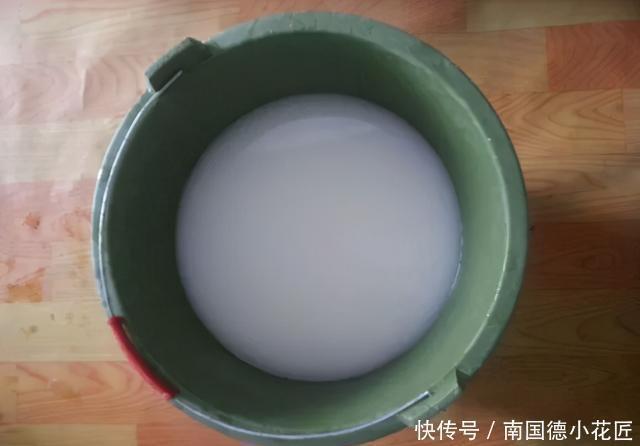 家家都有的“营养肥”,养虎尾兰管用,盆里浇一点新芽猛蹿