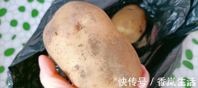 蒸土豆|土豆芽能吃吗小贴士教你如何防止他发芽，你可以放心地储存土豆