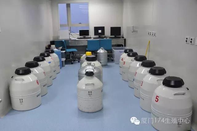 无人问津|万枚试管婴儿冷冻胚胎在零下196℃沉睡，十年无人问津！医院要清理了