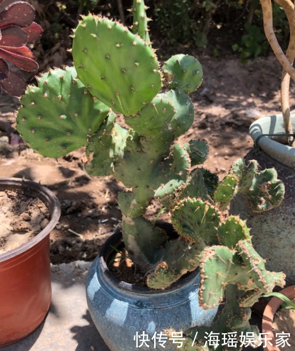 你喜欢什么花,就是什么性格的人,都进来看看吧!