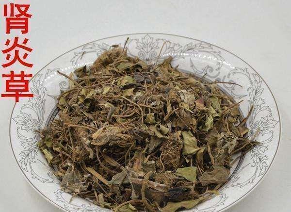 肾炎草|这野草,人称“肾炎草”,是极品中药,农村很常见,遇见请重视