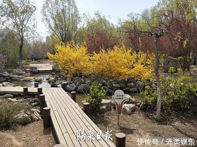 山河无恙花满桃林~第17届桃林沟村桃花节开幕啦