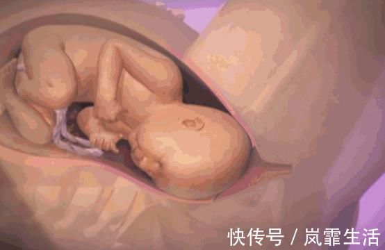 妈妈们|你在产房用力的时候，胎儿在干什么？他可没闲着哦，看完满是感动