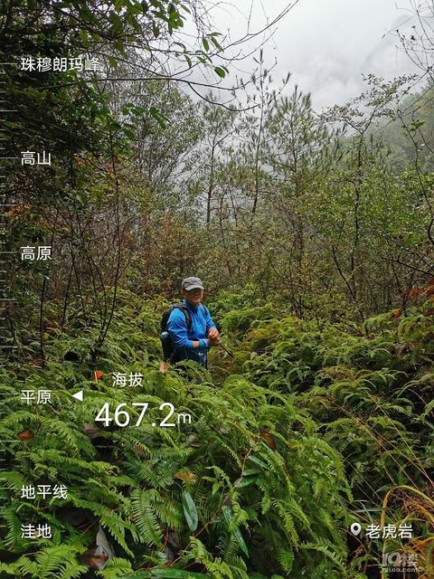 神仙居景区|打卡神仙居如意桥，宛如一柄飘在空中的玉如意