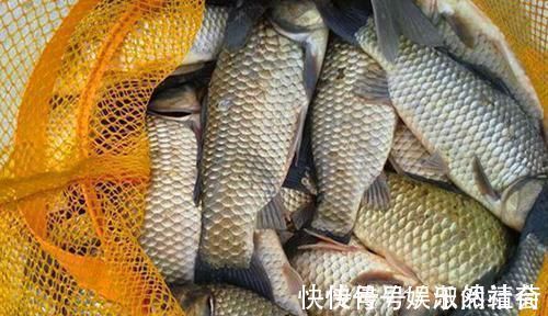 丁香酒|冬季钓鱼的诱鱼之道,用这几种方法,能把远处的鱼群“请”进窝