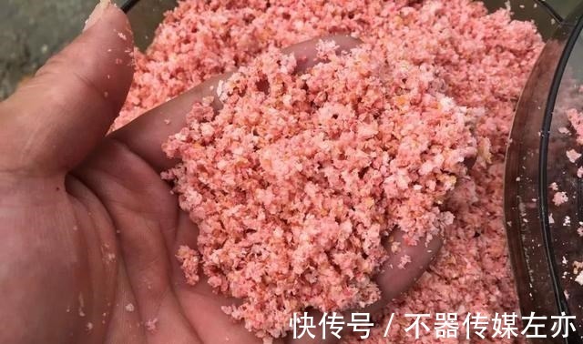 弹簧|野钓鲢鳙，鱼钩、弹簧、毛刷钓组哪种好用？