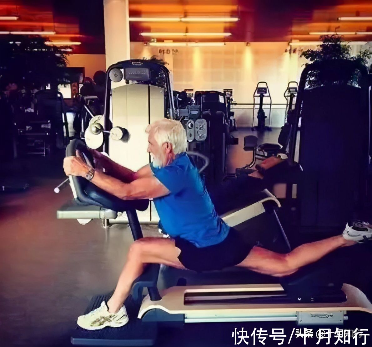 训练|为啥要重视腿部训练,尤其是中老年人?练腿要注意什么,如何练?