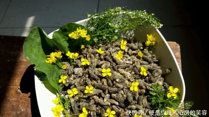 野菜就属它长得丑，却比香椿还鲜嫩，每年就这几天有，别错过了