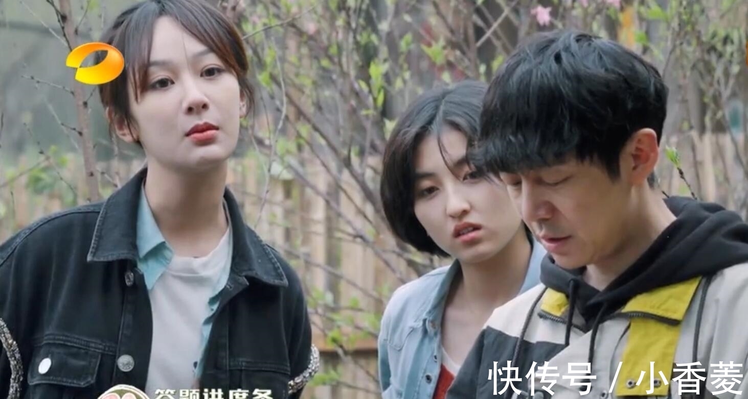 up|杨紫，求你可别再上《向往的生活》了