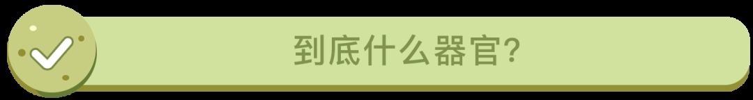 体脂率|喝什么最解渴？居然不是水！8个食物的“冷知识”，答对2个算我输