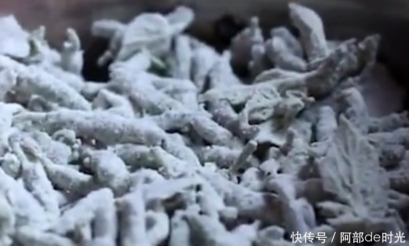 农村房屋后院的这种植物,全身上下都是宝,被中医奉为“药王”