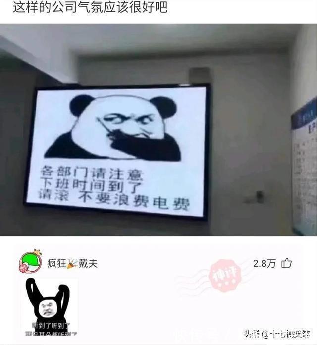 |搞笑合集：这是我的两位表弟，为人方正圆滑，想看看你们的表弟