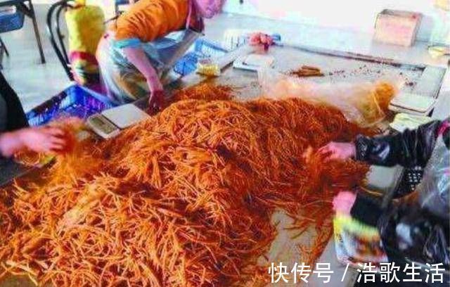 鱼肝油|4岁男童近视眼“1000度”,罪魁祸首竟是“吃”,家长切忌莫触碰