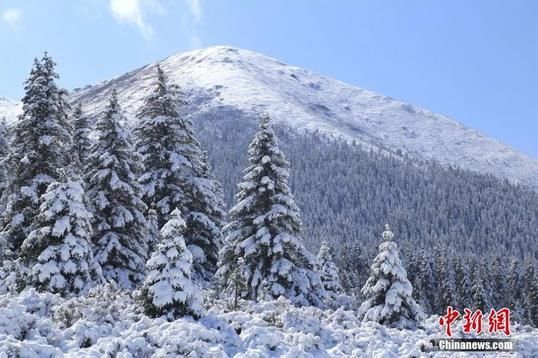 今日|今日小雪 | 天冷勿忘加衣 愿你今冬一切安好