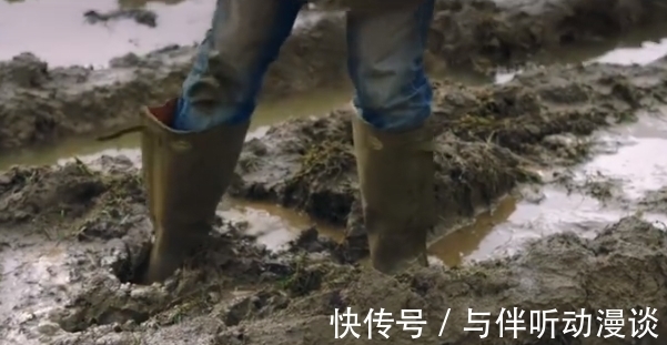 養(yǎng)羊|9.6分,這節(jié)目可把大明星虐爽了