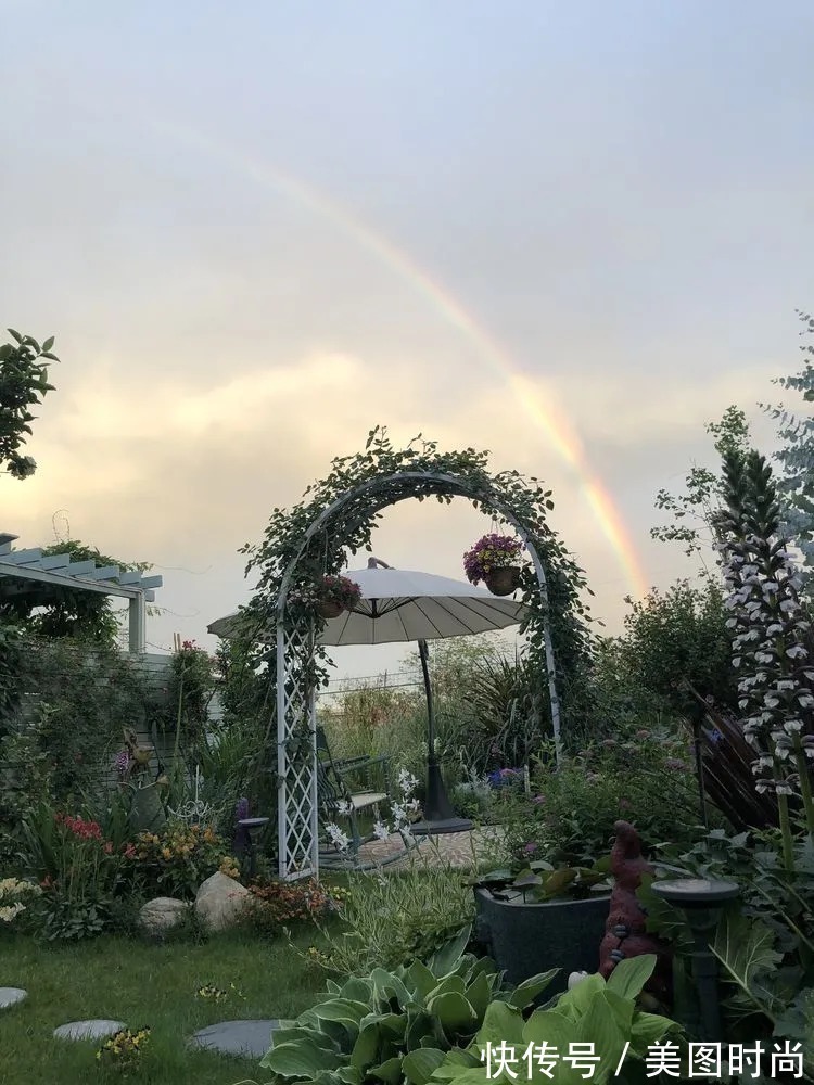 满园|2年前,买了一栋带院子的房子,在高楼喧嚣中建一个“梦幻花园”