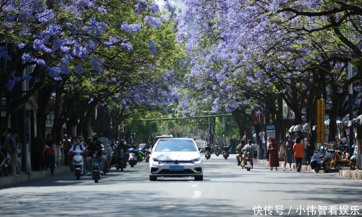 春城|夏季避暑好去处，这三个地方凉爽舒适，空调竟是摆设。