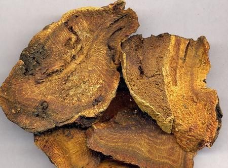 三黄片|大黄农村遍地都是,不是人参胜似“人参”,竟然还能拿去卖钱呢