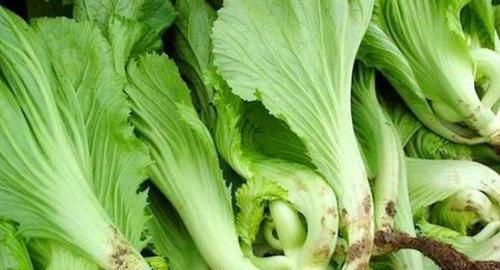 有益健康的食物，男女記得吃，排毒護膚，美容養顏，促進身體排毒