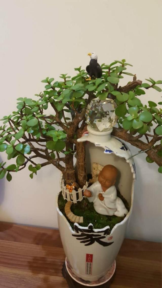 养花不捡垃圾,终究难成大神,绝美花盆统统不用钱