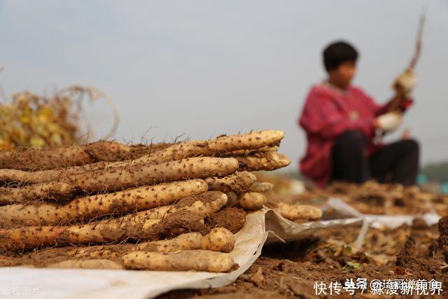 山药买粗的还是细的,老农教你看4处,不管啥品种,一挑一个准