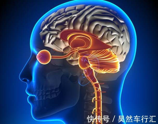 血管|高血压20年无并发症,只要做好这几点,你也可以