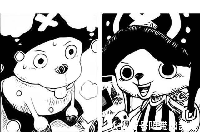 草帽团|海贼王中草帽团的成长变化,全员实力大幅增长,弗兰奇有隐藏料