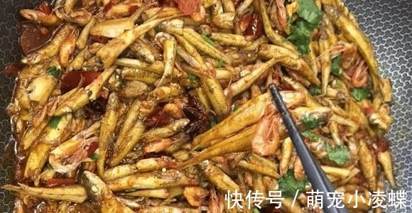 食材|这食材吃大不如吃小，多买些洗净整个放锅中一炖，鲜香入味还补钙
