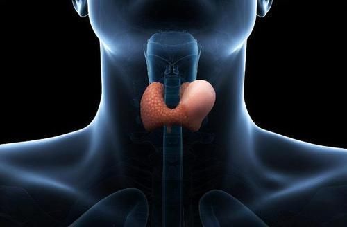 未分化癌|吃一次等于半斤油,27岁女子甲状腺癌离世,只因爱吃1种粗粮