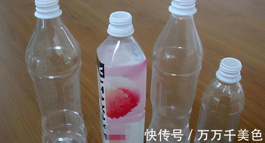 植株|如何兼顾养花和环保?改造下塑料瓶,用着乐趣多又省钱,效果好