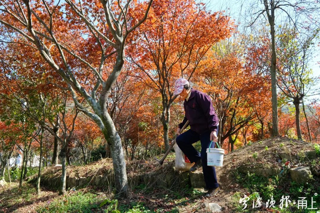 北溪|太绝了！宁波这个山村藏不住了！