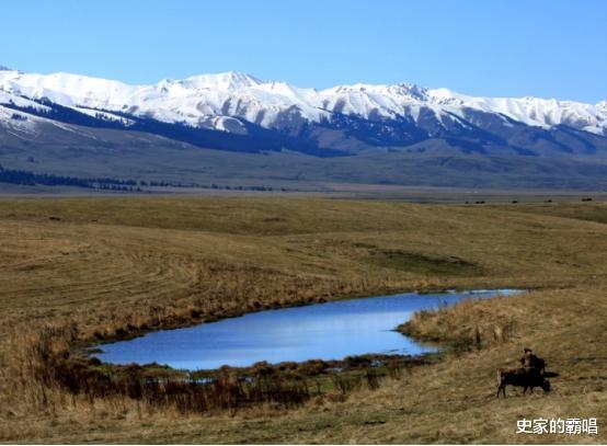 艺术创作|白居易写的“离离原上草”,“离离”究竟啥意思你可能并不知道