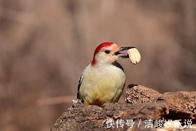 夫妻|这2对生肖，做夫妻是“八辈子”修来的福，两口子永不分家！